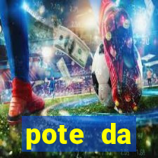 pote da prosperidade riqueza e fortuna 2024